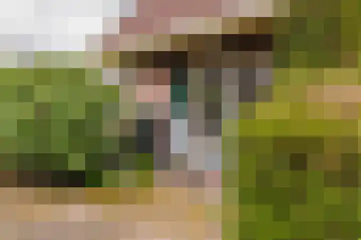 Hoefblad 7 Heerenveen thumbnail 62