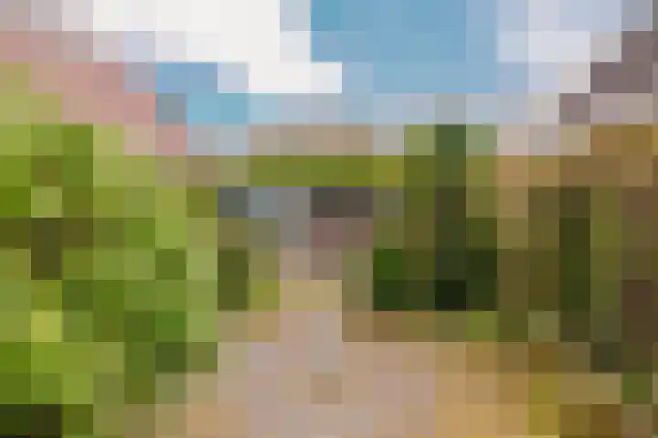 Hoefblad 7 Heerenveen thumbnail 64