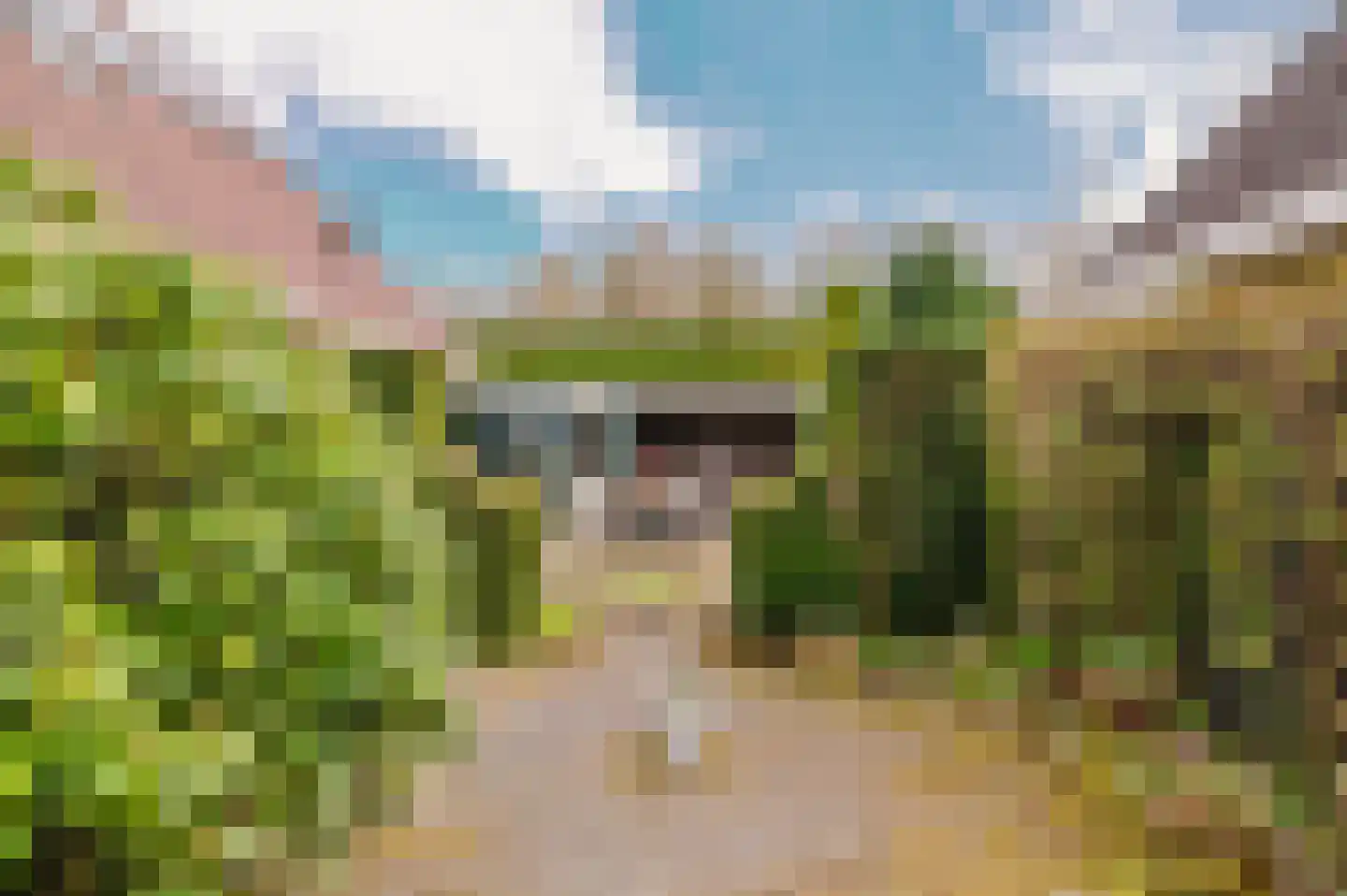Hoefblad 7 Heerenveen thumbnail 64