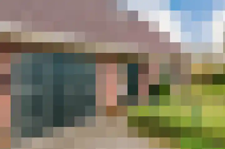 Hoefblad 7 Heerenveen thumbnail 65