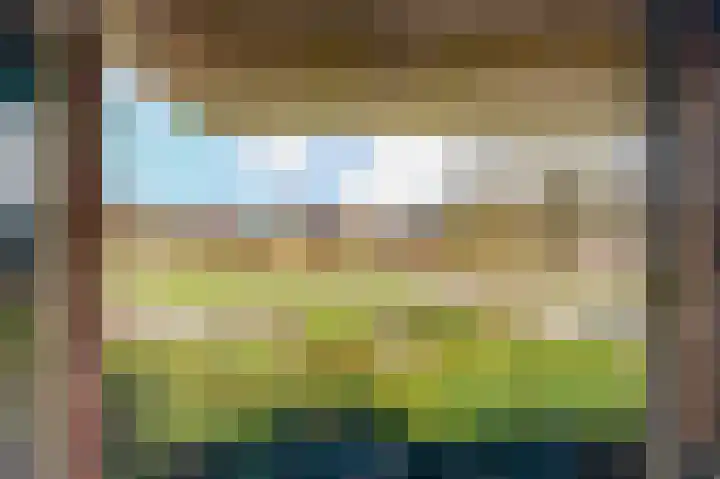 Hoefblad 7 Heerenveen thumbnail 67