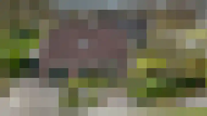 Hoefblad 7 Heerenveen thumbnail 68