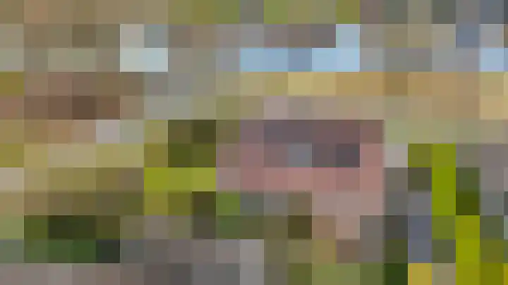 Hoefblad 7 Heerenveen thumbnail 69