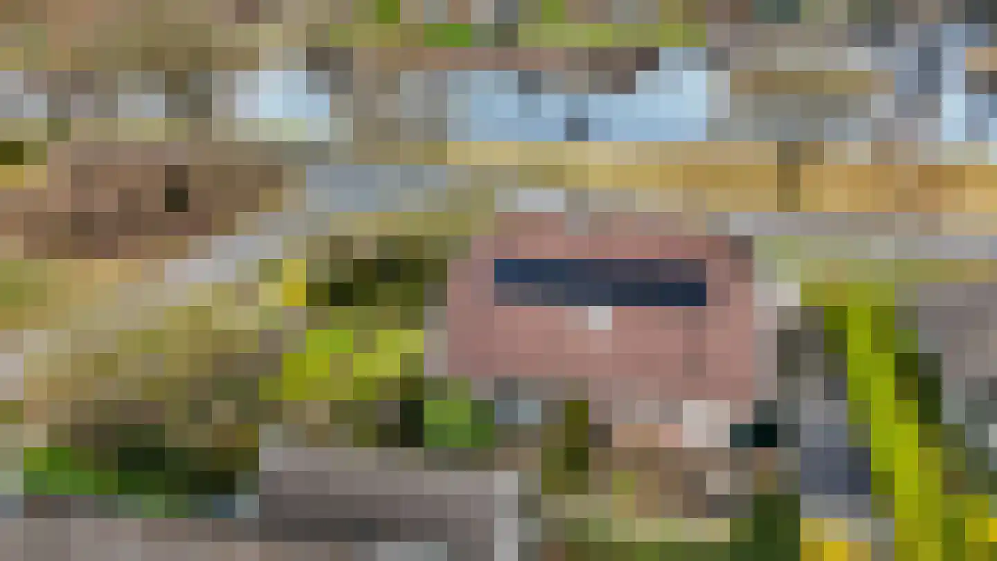 Hoefblad 7 Heerenveen thumbnail 69