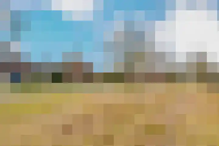 Hoefblad 7 Heerenveen thumbnail 7