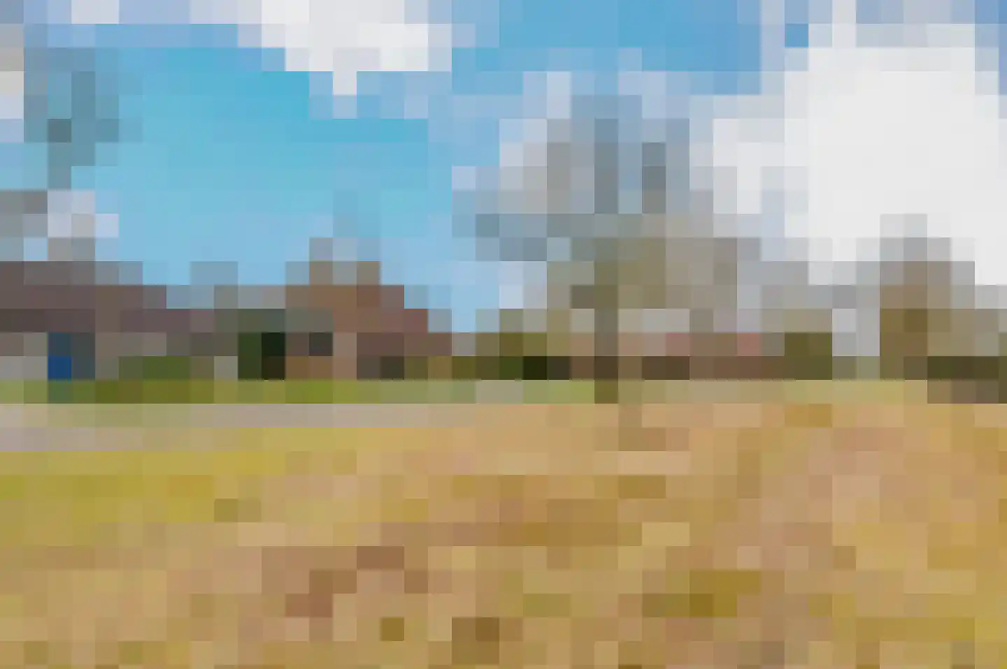 Hoefblad 7 Heerenveen thumbnail 7