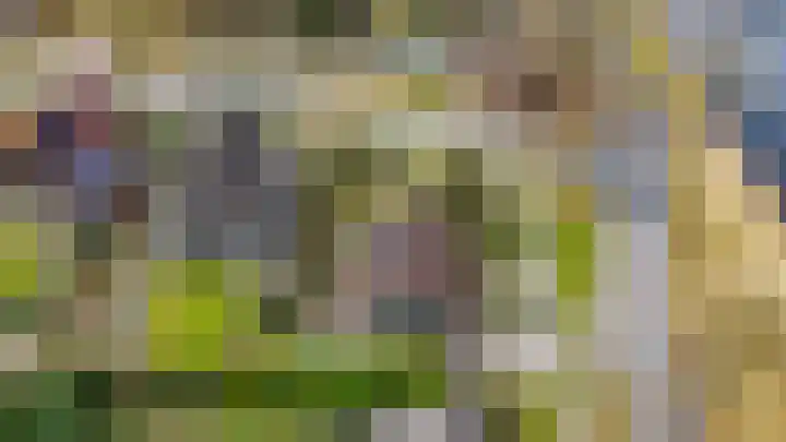 Hoefblad 7 Heerenveen thumbnail 70