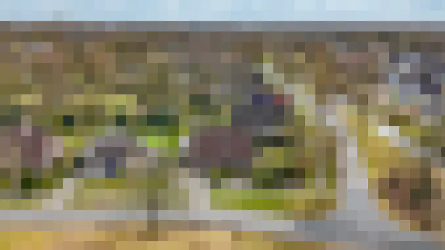 Hoefblad 7 Heerenveen thumbnail 71