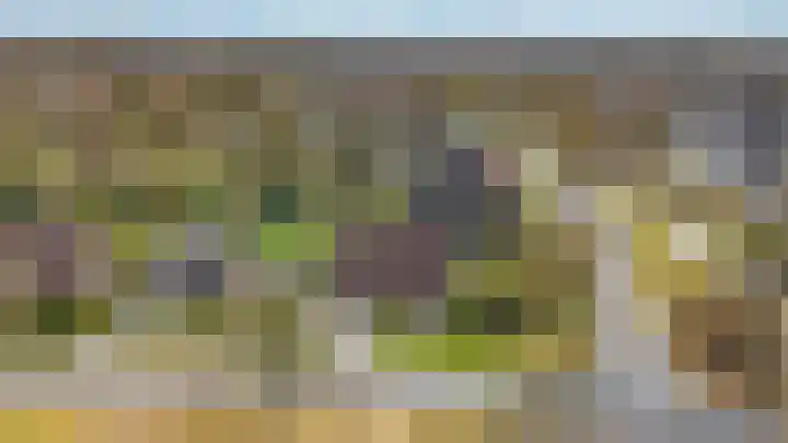 Hoefblad 7 Heerenveen thumbnail 71