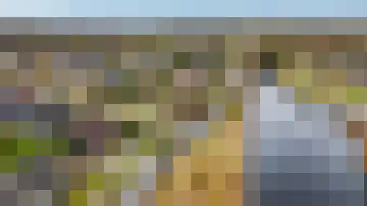 Hoefblad 7 Heerenveen thumbnail 72