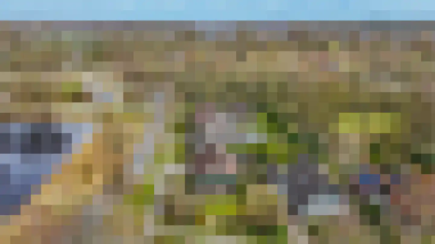 Hoefblad 7 Heerenveen thumbnail 73