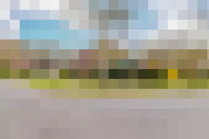Hoefblad 7 Heerenveen thumbnail 8