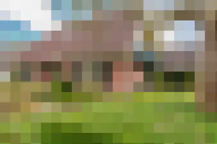 Hoefblad 7 Heerenveen thumbnail 9