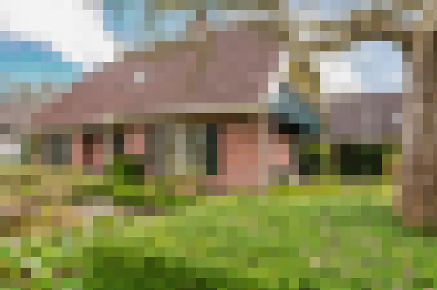 Hoefblad 7 Heerenveen thumbnail 9