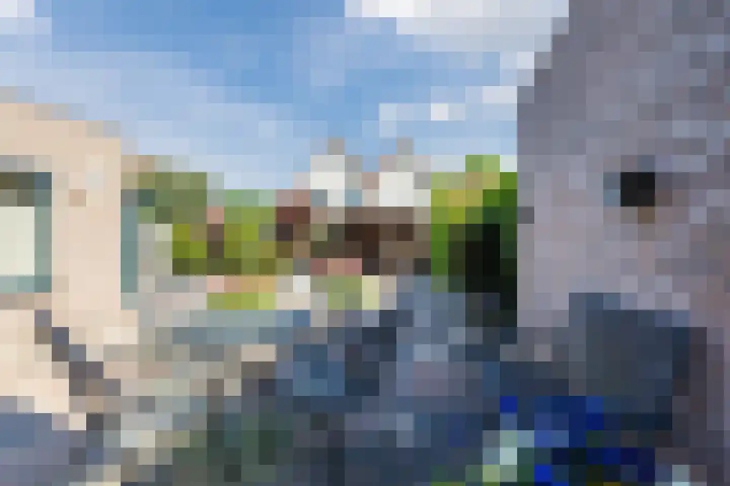 Hoefblad 7 Woudenberg thumbnail 31