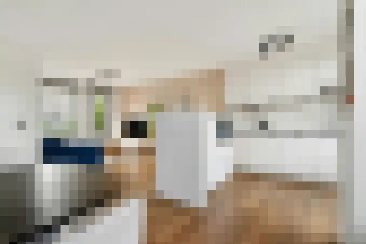 Hoefblad 70 Best thumbnail 15
