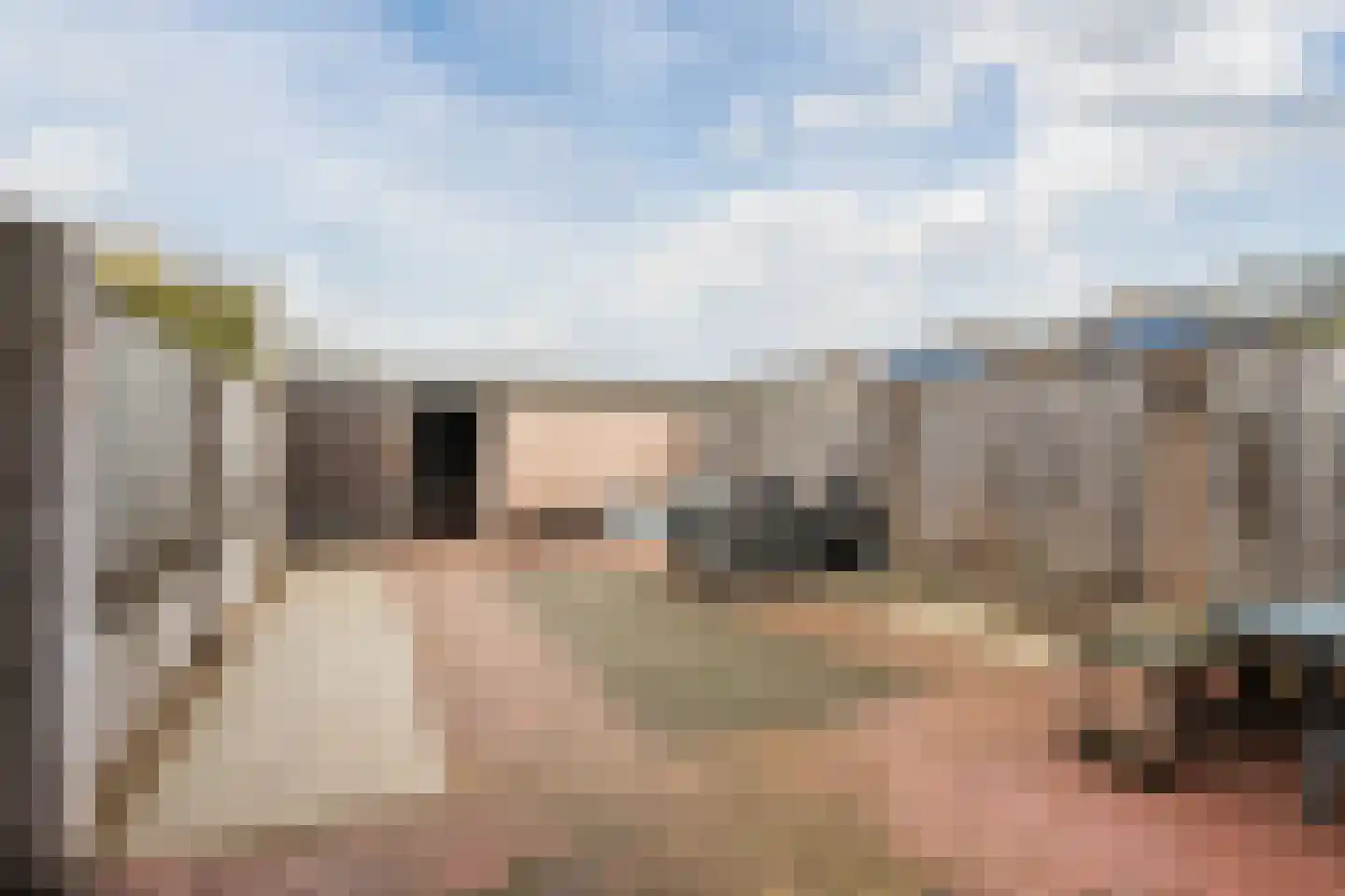Hoefblad 70 Best thumbnail 34