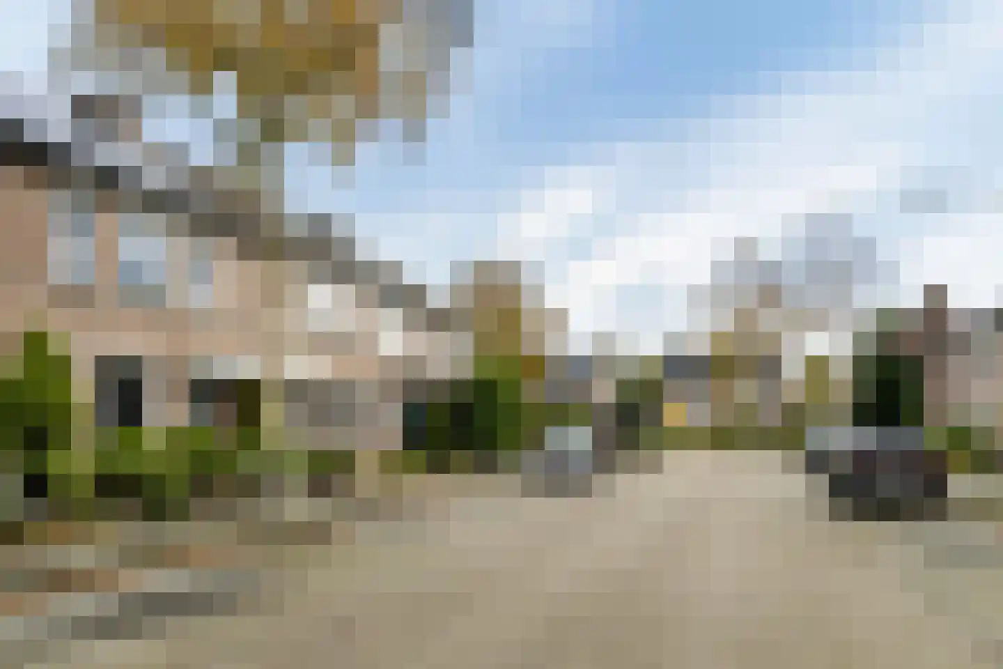 Hoefblad 70 Best thumbnail 39