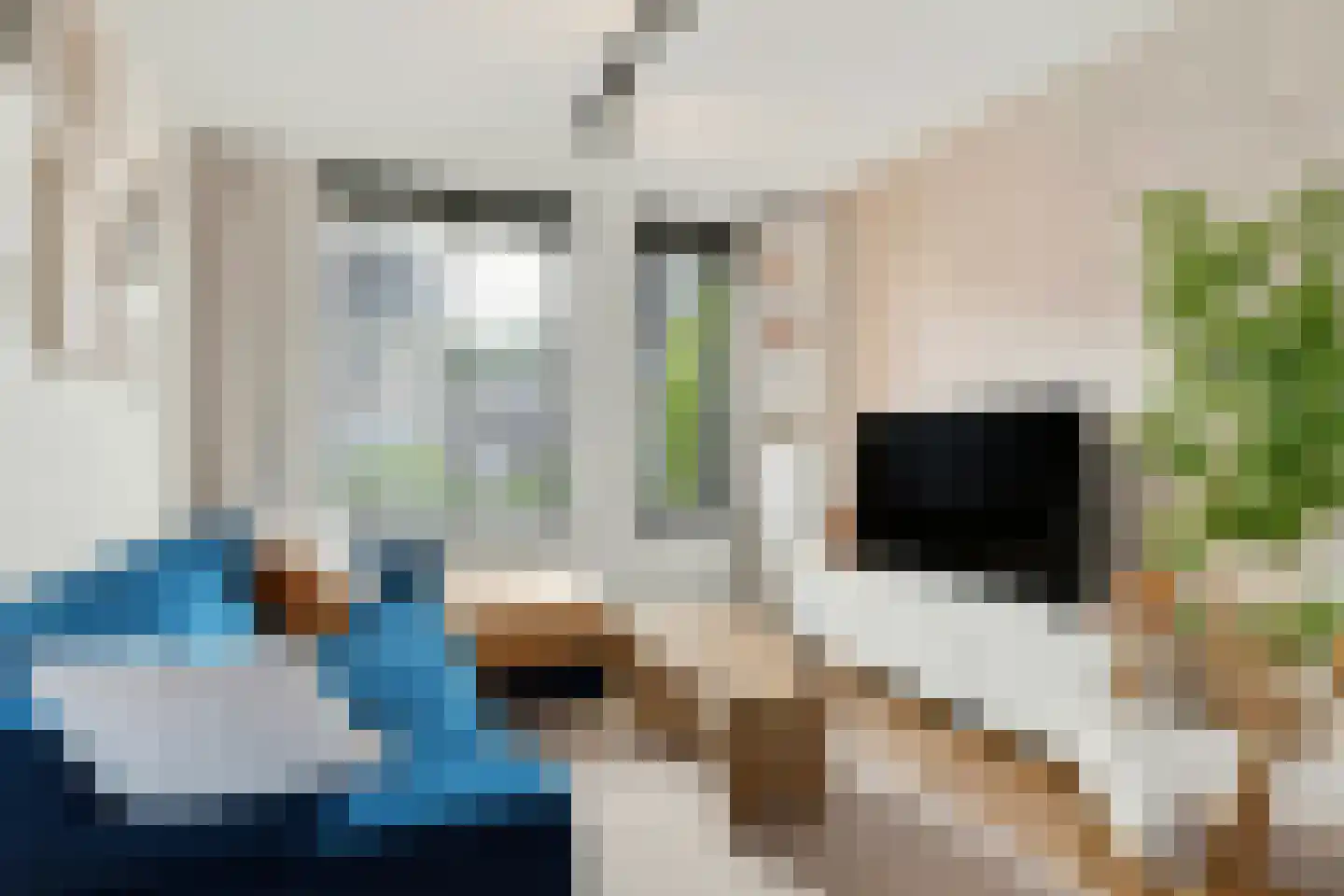 Hoefblad 70 Best thumbnail 4
