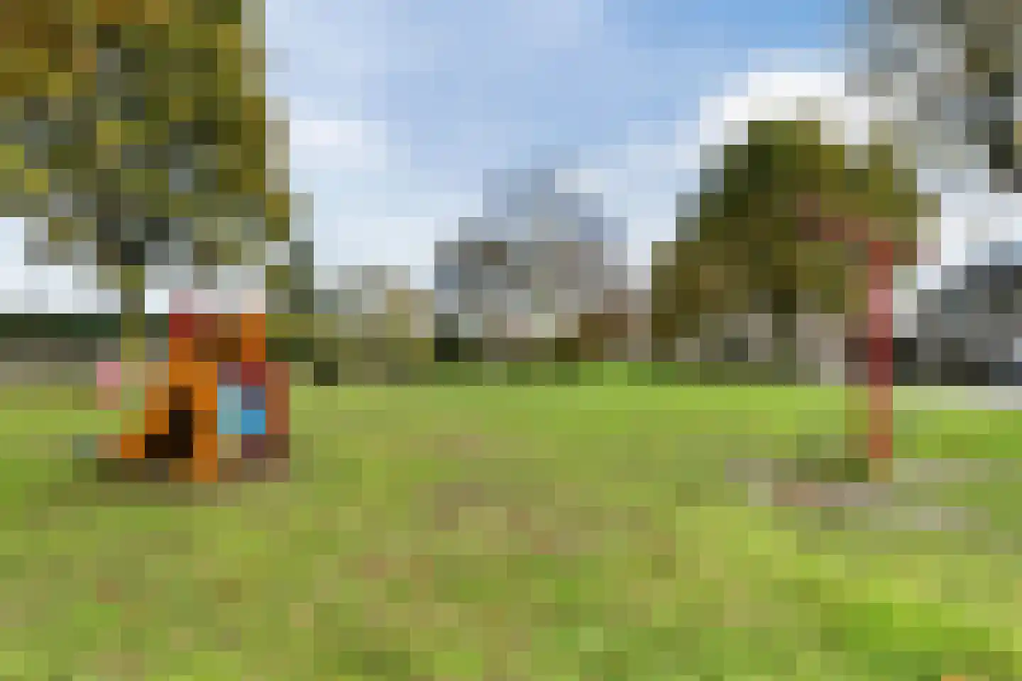 Hoefblad 70 Best thumbnail 41