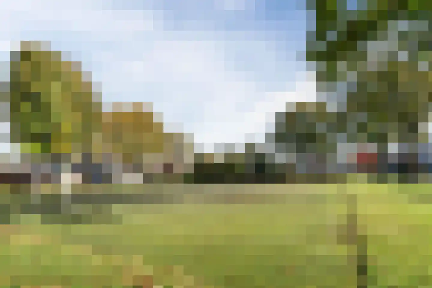 Hoefblad 70 Best thumbnail 42