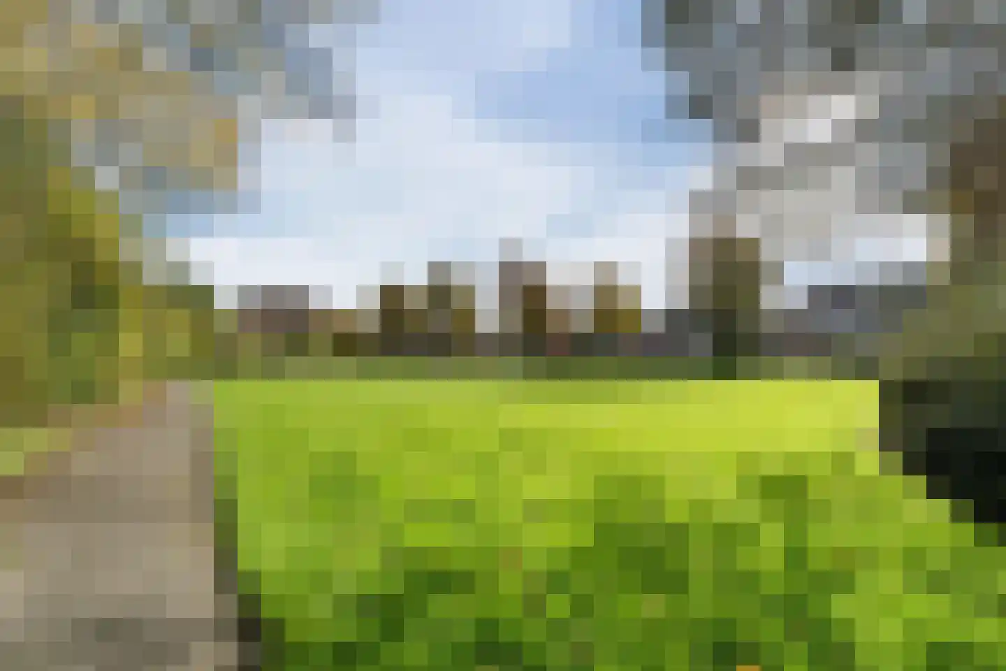 Hoefblad 70 Best thumbnail 43