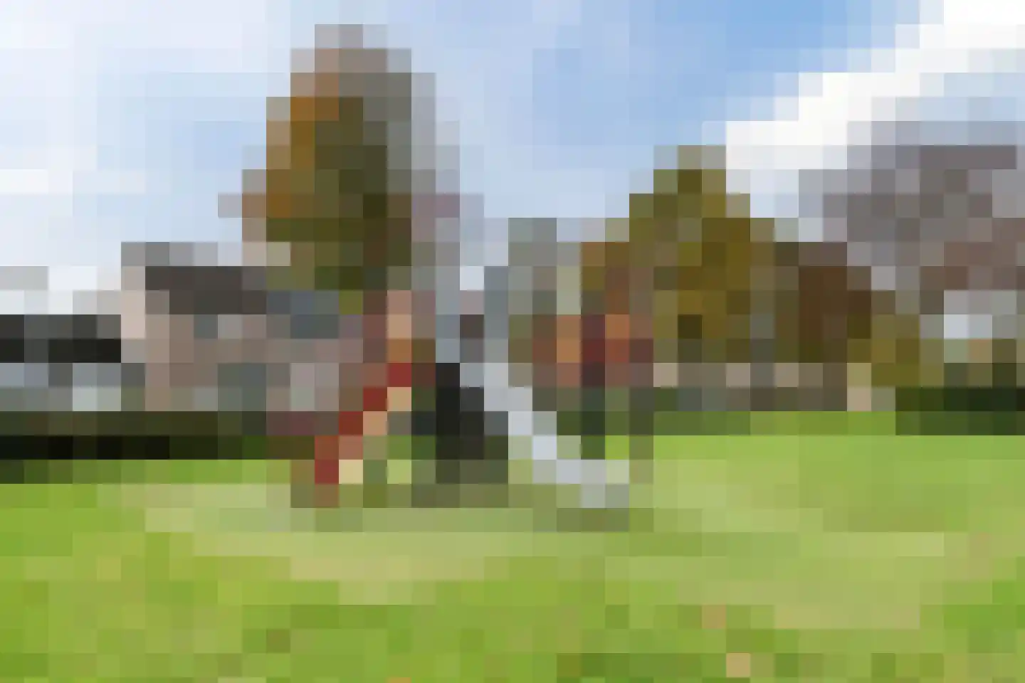 Hoefblad 70 Best thumbnail 44