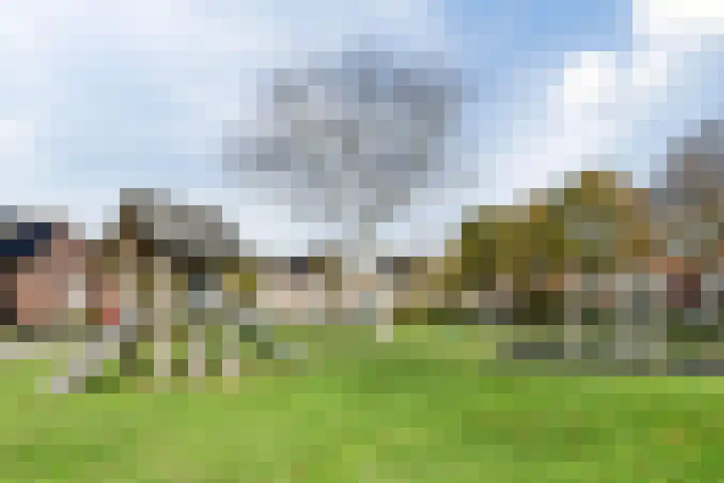 Hoefblad 70 Best thumbnail 45