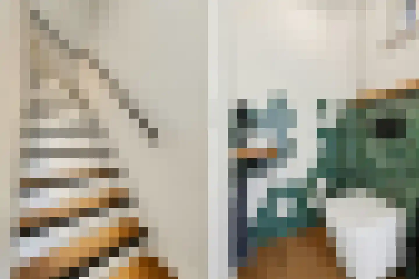Hoefblad 70 Best thumbnail 6