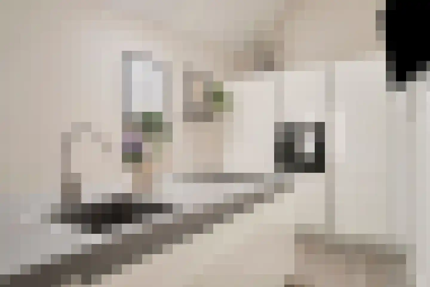 Hoefblad 78 Best thumbnail 15