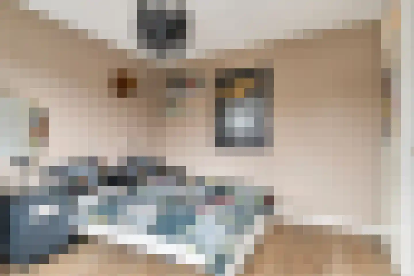 Hoefblad 78 Best thumbnail 22