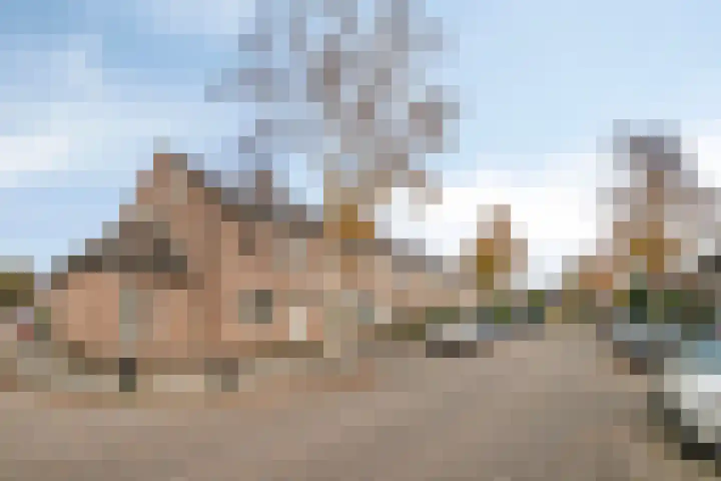 Hoefblad 78 Best thumbnail 37