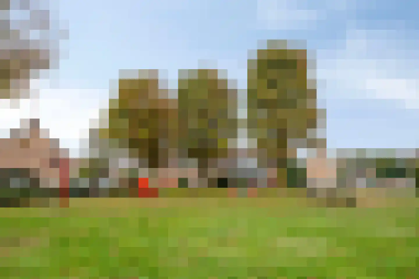 Hoefblad 78 Best thumbnail 38