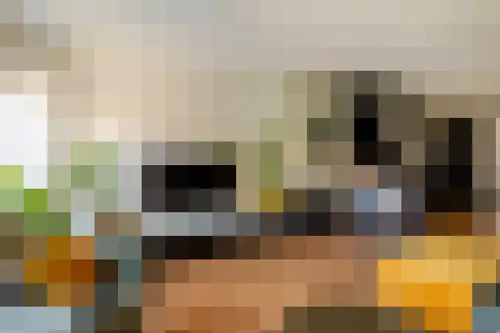 Hoefblad 88 Purmerend thumbnail 24