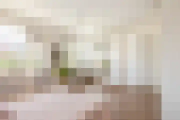 Hoefblad 88 Purmerend thumbnail 28