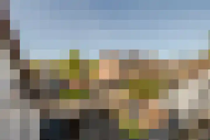 Hoefblad 88 Purmerend thumbnail 34