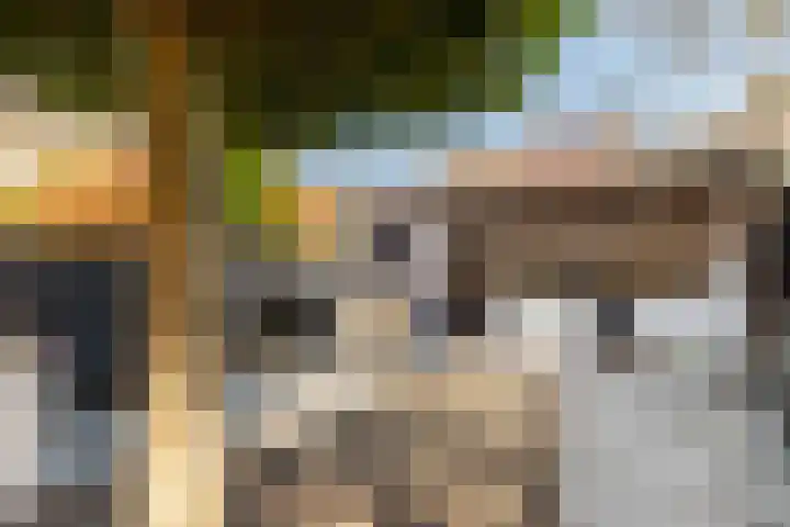 Hoefblad 88 Purmerend thumbnail 4