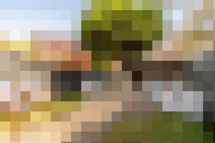 Hoefblad 88 Purmerend thumbnail 42