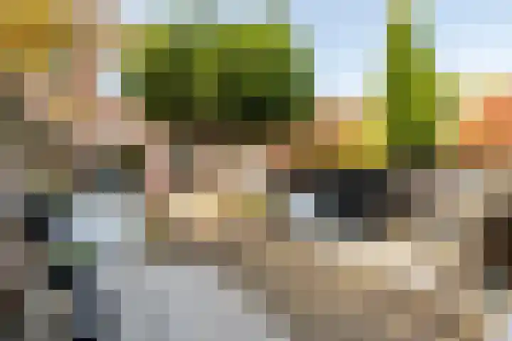 Hoefblad 88 Purmerend thumbnail 46