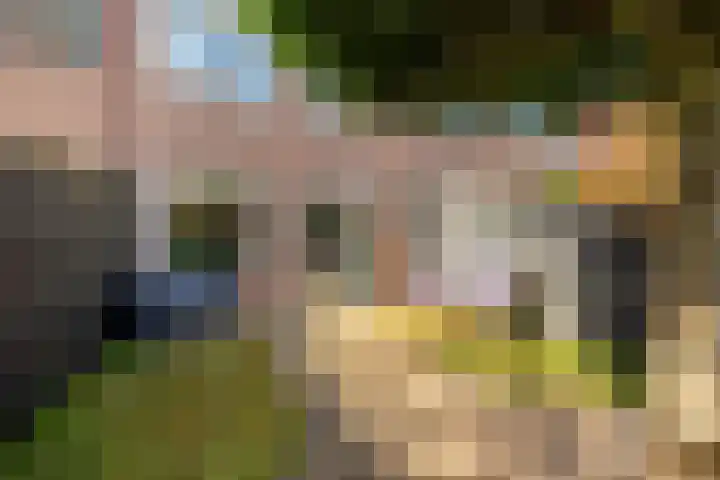 Hoefblad 88 Purmerend thumbnail 47