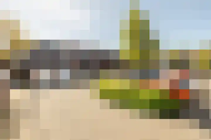 Hoefblad 88 Purmerend thumbnail 48