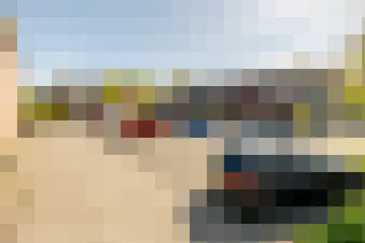 Hoefblad 88 Purmerend thumbnail 49