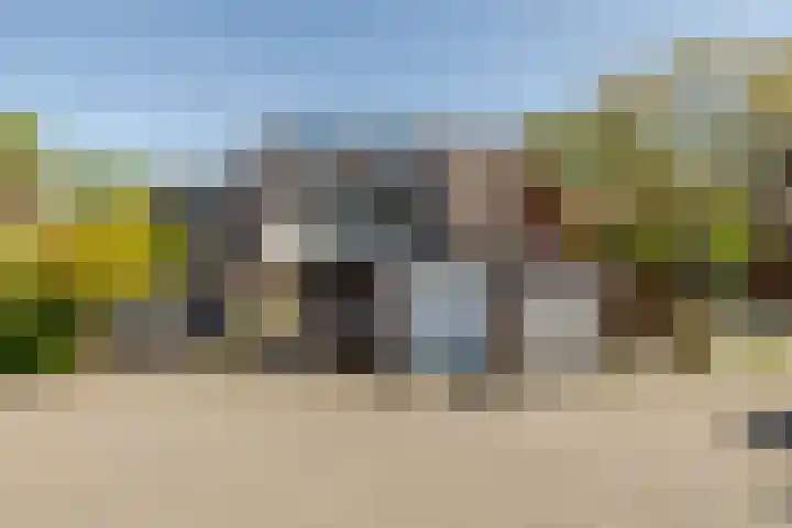 Hoefblad 88 Purmerend thumbnail 5
