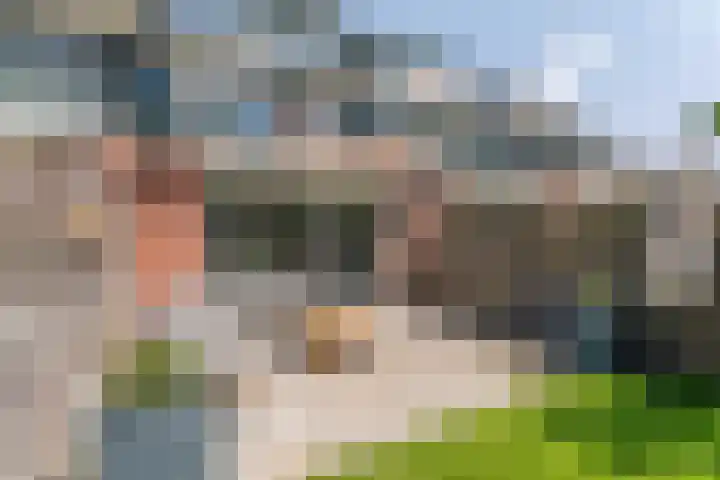 Hoefblad 91 Rijnsburg thumbnail 29
