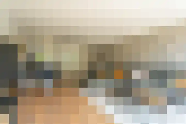 Hoefblad 91 Rijnsburg thumbnail 4