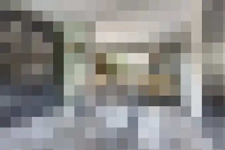 Hoefblad 99 Zwaag thumbnail 12