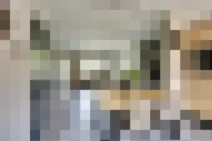Hoefblad 99 Zwaag thumbnail 16