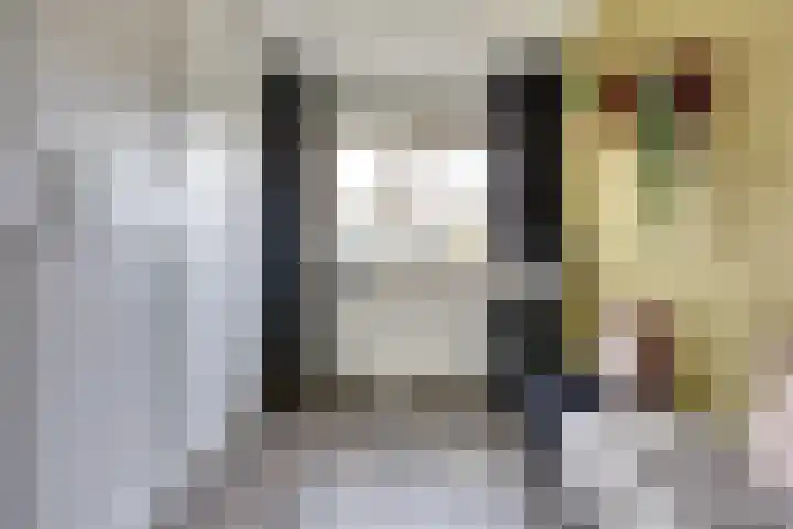 Hoefblad 99 Zwaag thumbnail 22