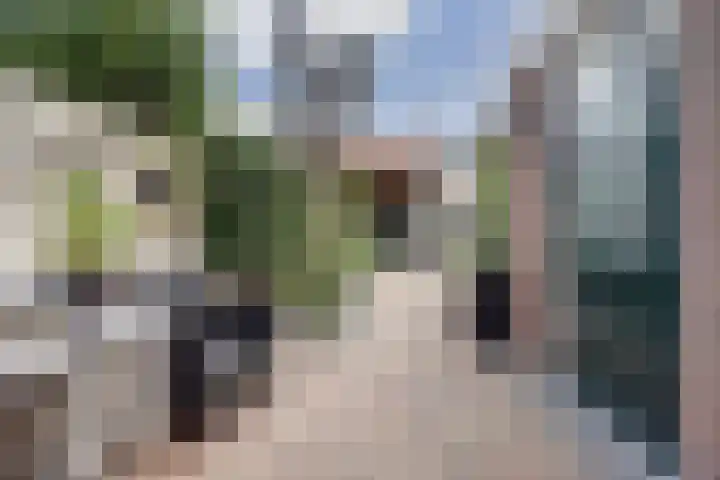 Hoefblad 99 Zwaag thumbnail 27