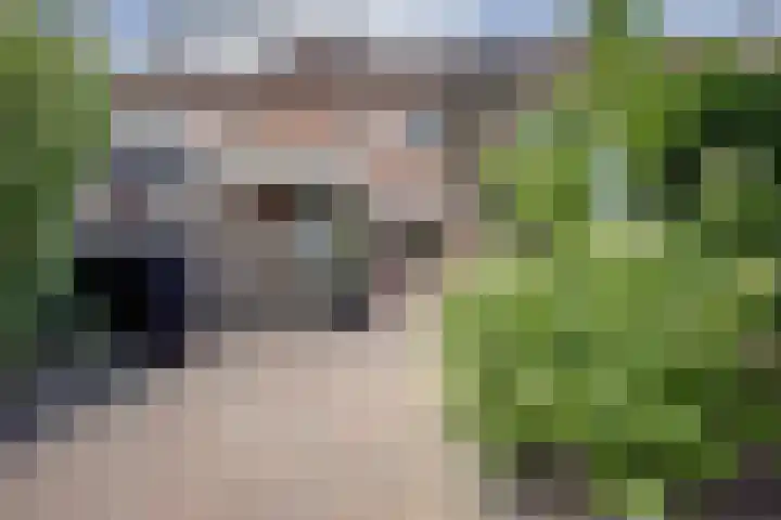 Hoefblad 99 Zwaag thumbnail 30